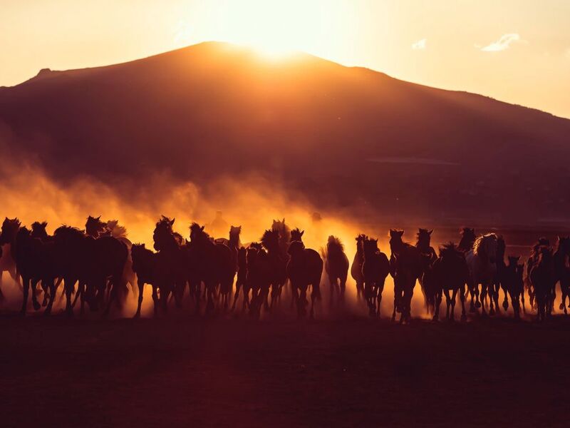 BALON SEYİRLİ KAPADOKYA TURU - GÜNÜBİRLİK